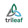 Profile picture of Trileaf templates