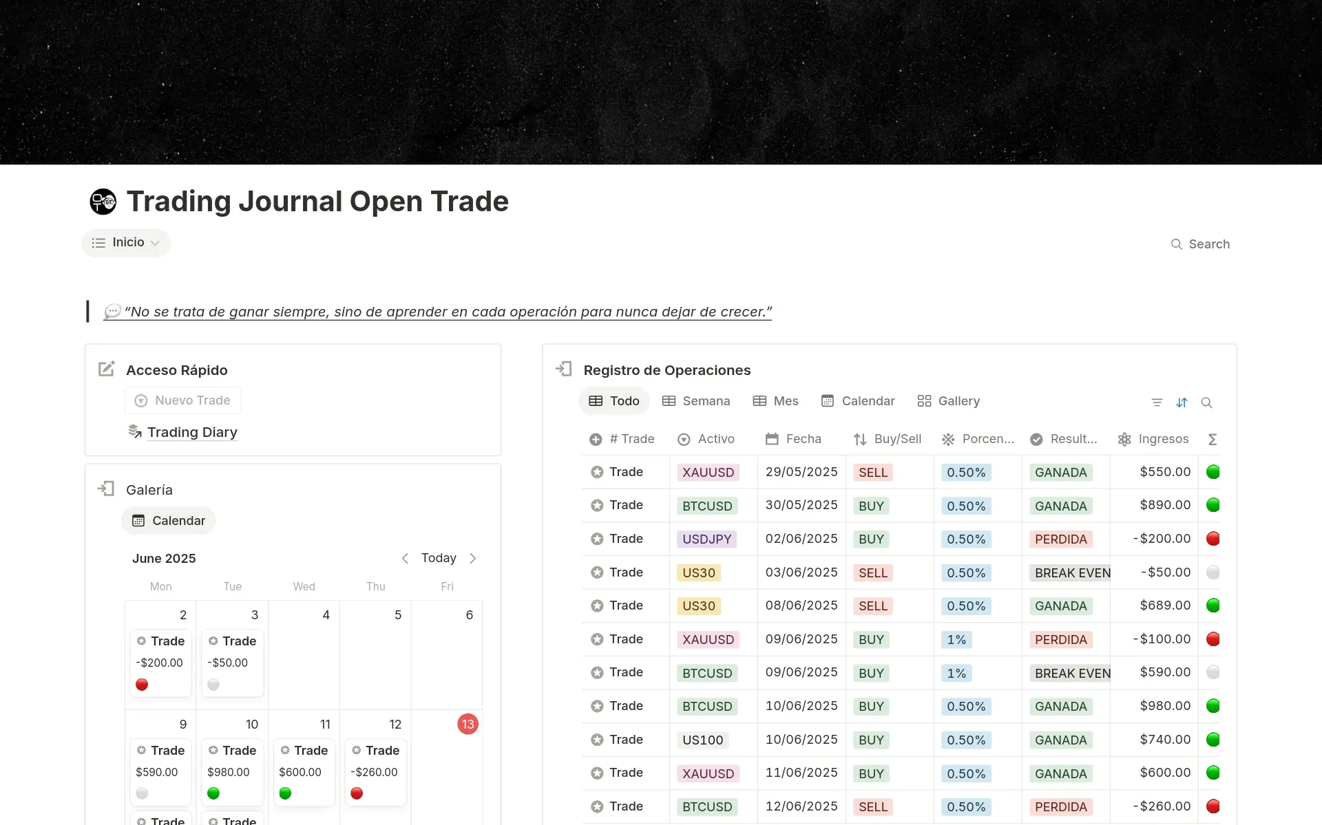 Captura de pantalla de la colección Registra cada operación creada por Notion